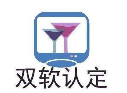 雙軟認定與軟件企業(yè)條件解析 計算機系統(tǒng)集成服務(wù)的視角